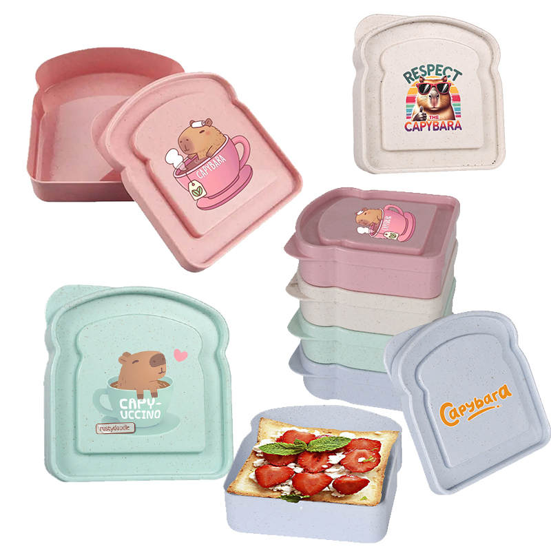 Food Storage Plastic Container - Capybara Sandwich Food Storage Case Container