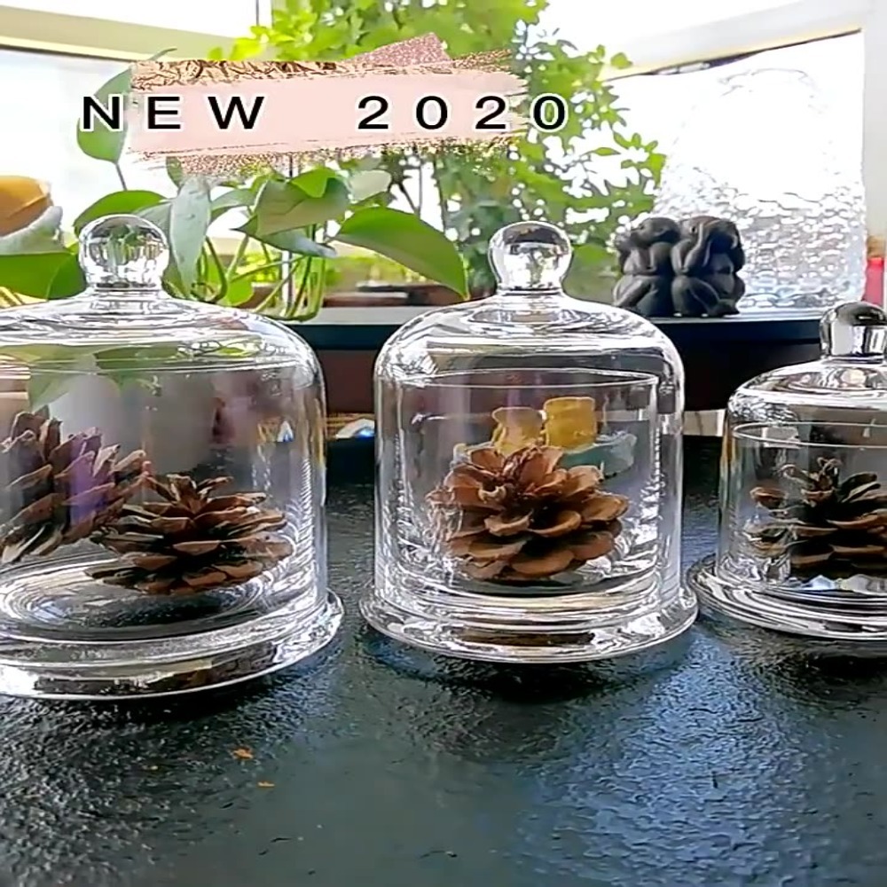 Food Storage Plant - Glass Glass Storage Jar Eternal Life