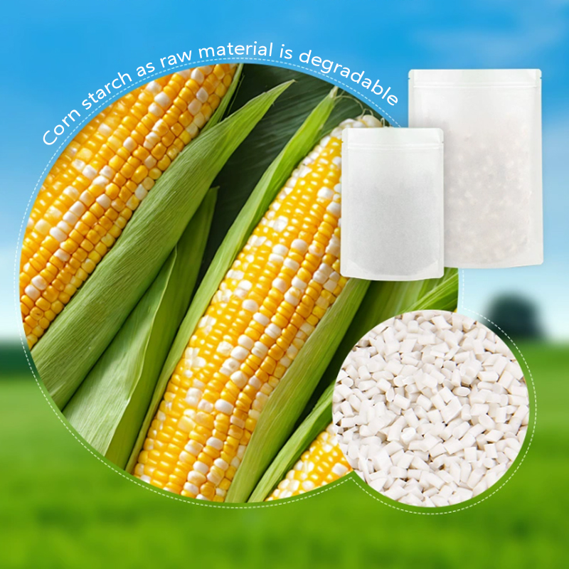 Customized Degradable Kraft Pa - огляд і ціна Food Storage Plant
